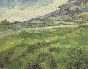 Vincent Van Gogh Green Wheat Field (nn04) Germany oil painting reproduction